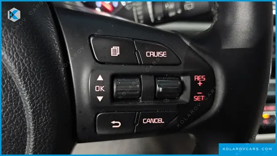KIA CARNIVAL 9-SEATER LUXURY