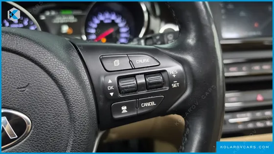 KIA CARNIVAL GASOLINE 9-SEATER NOBLESSE SPECIAL