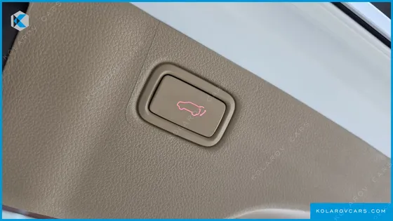 KIA CARNIVAL GASOLINE 9-SEATER NOBLESSE SPECIAL