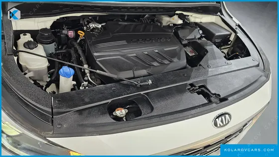 KIA CARNIVAL 9-SEATER PRSTIGE
