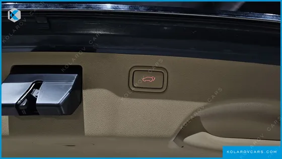 KIA CARNIVAL GASOLINE 9-SEATER PRESTIGE