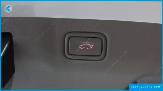 KIA CARNIVAL 9-SEATER NOBLESSE