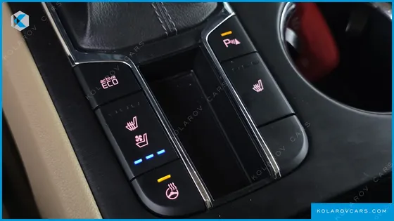KIA CARNIVAL 9-SEATER LUXURY