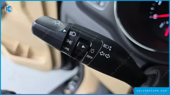 KIA CARNIVAL 9-SEATER LUXURY