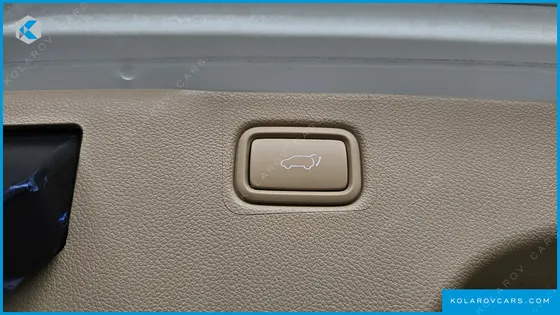 KIA CARNIVAL 9-SEATER NOBLESSE SPECIAL