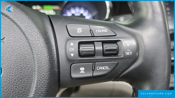 KIA CARNIVAL 9-SEATER NOBLESSE SPECIAL