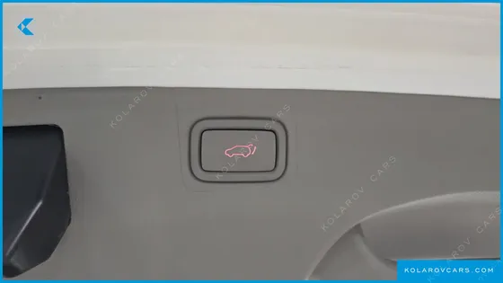 KIA CARNIVAL 9-SEATER NOBLESSE SPECIAL