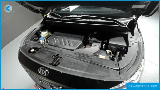 KIA CARNIVAL 9-SEATER NOBLESSE SPECIAL