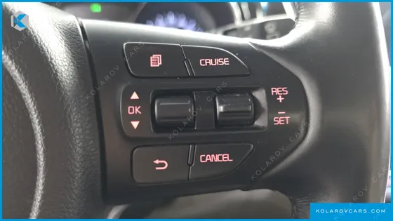 KIA CARNIVAL GASOLINE 9-SEATER NOBLESSE