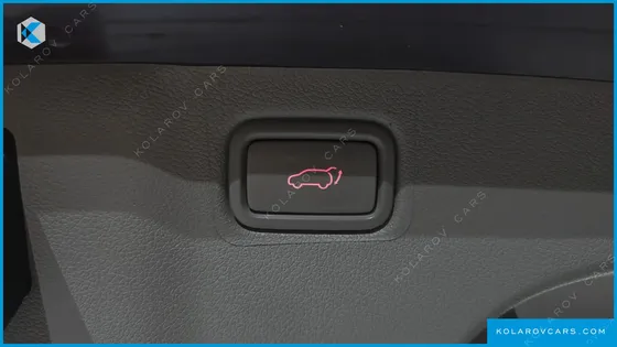 KIA CARNIVAL GASOLINE 9-SEATER NOBLESSE