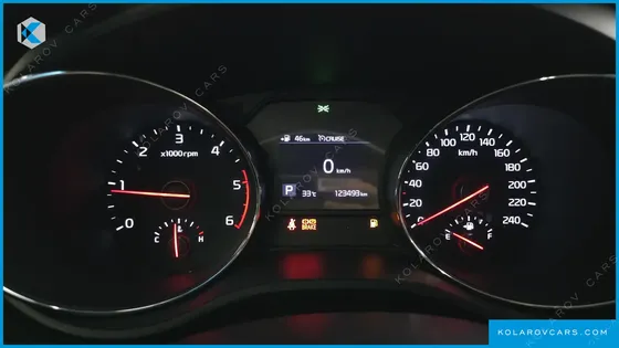 KIA CARNIVAL 9-SEATER LUXURY