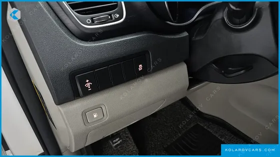 KIA CARNIVAL 9-SEATER LUXURY