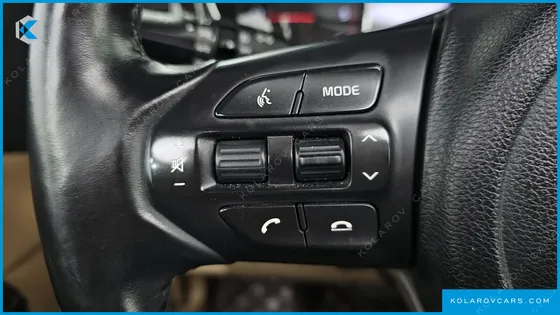 KIA CARNIVAL 9-SEATER NOBLESSE SPECIAL
