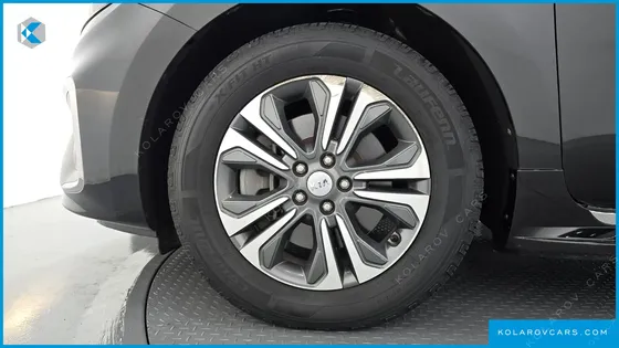 KIA CARNIVAL 9-SEATER LUXURY