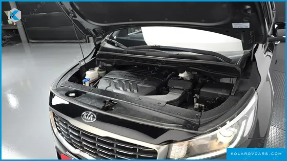 KIA CARNIVAL 9-SEATER LUXURY