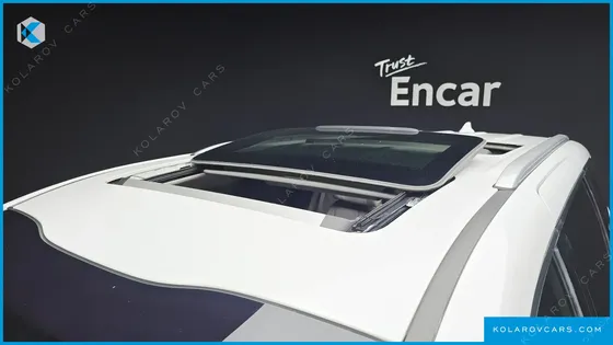 KIA CARNIVAL GASOLINE 7-SEATER LIMOUSINE