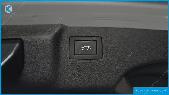 HYUNDAI MAXCRUISE DIESEL(E-VGT) 2.2 2WD EXCLUSIVE