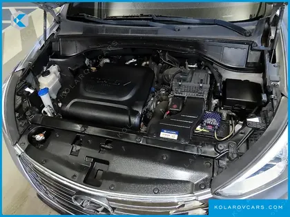 HYUNDAI MAXCRUISE DIESEL(E-VGT) 2.2 4WD EXCLUSIVE