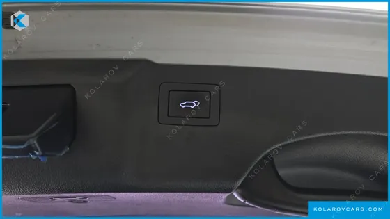 HYUNDAI MAXCRUISE DIESEL(E-VGT) 2.2 2WD EXCLUSIVE