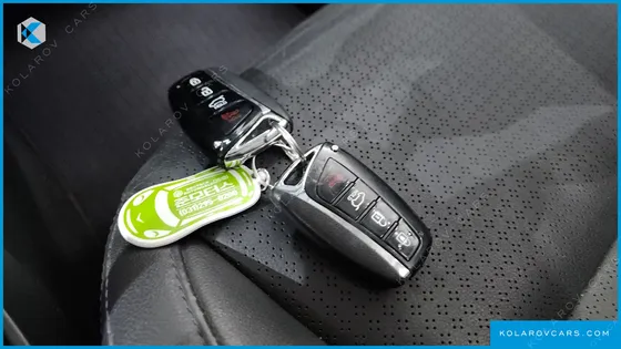HYUNDAI MAXCRUISE DIESEL(E-VGT) 2.2 4WD EXCLUSIVE