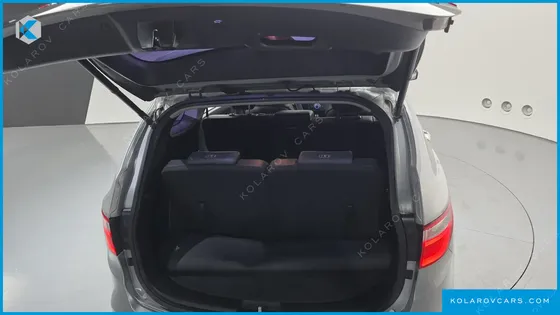 HYUNDAI MAXCRUISE DIESEL(E-VGT) 2.2 2WD EXCLUSIVE
