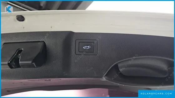 HYUNDAI MAXCRUISE DIESEL(E-VGT) 2.2 4WD EXCLUSIVE