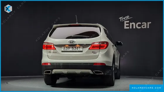 HYUNDAI MAXCRUISE DIESEL(E-VGT) 2.2 4WD EXCLUSIVE