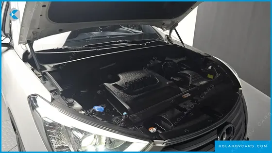 HYUNDAI MAXCRUISE DIESEL(E-VGT) 2.2 2WD EXCLUSIVE