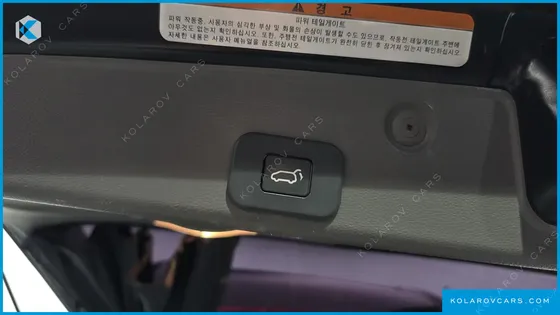 KIA CARNIVAL CARNIVAL LIMOUSINE GASOLINE PRESIDENT