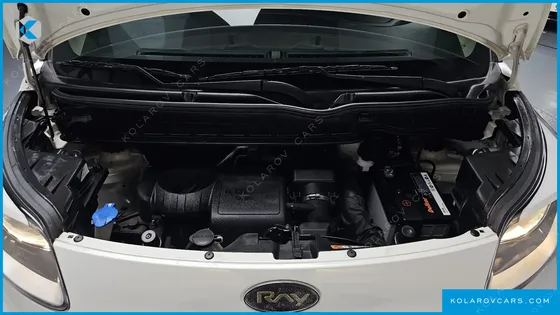 KIA RAY LUXURY