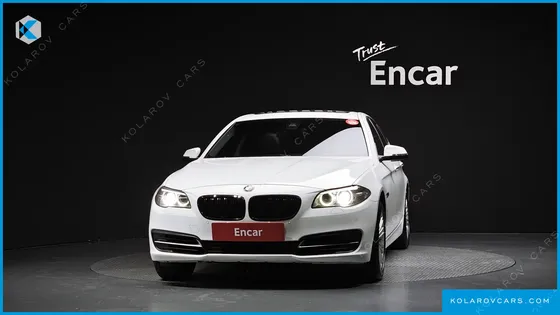 BMW 5 SERIES 520D