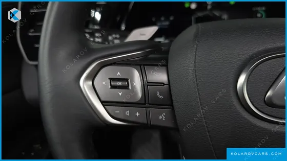 LEXUS RX LUXURY