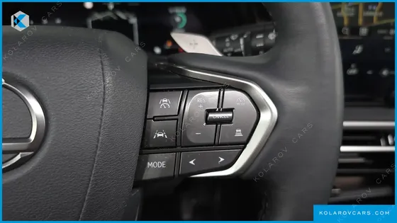 LEXUS RX LUXURY