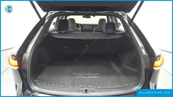LEXUS RX LUXURY