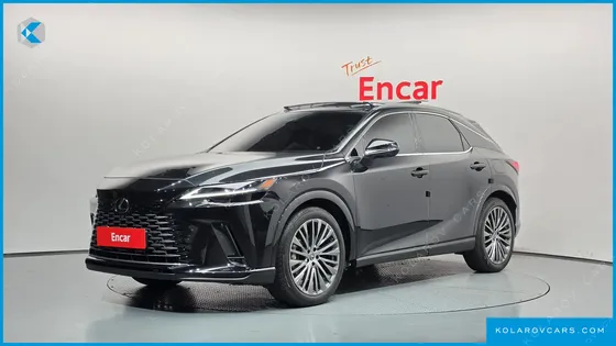 LEXUS RX LUXURY