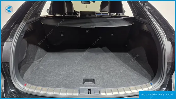 LEXUS RX LUXURY