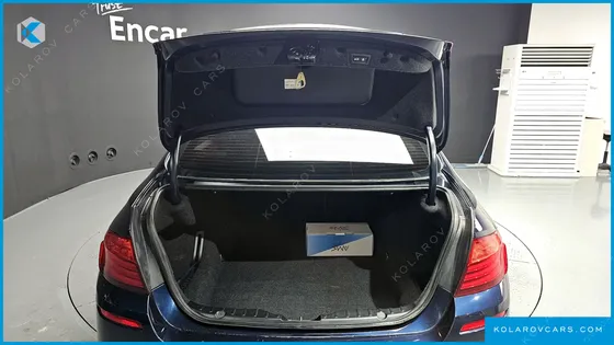 BMW 5 SERIES M550D XDRIVE