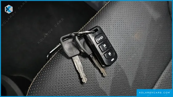 OTHER MANUFACTURERS OTHER PASSENGER CARS OTHERS EV