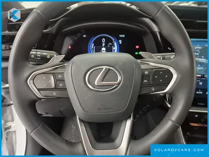 LEXUS RZ LUXURY