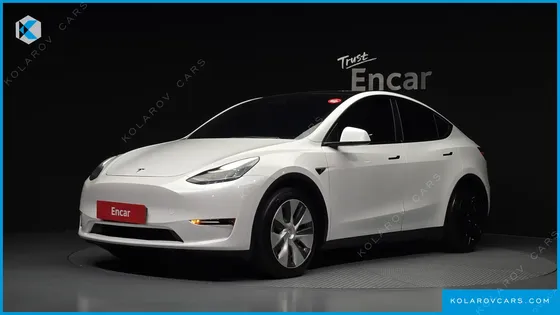 TESLA MODEL Y LONG RANGE AWD
