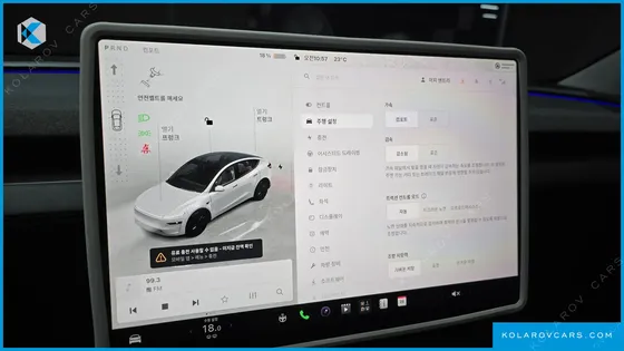 TESLA MODEL Y RWD