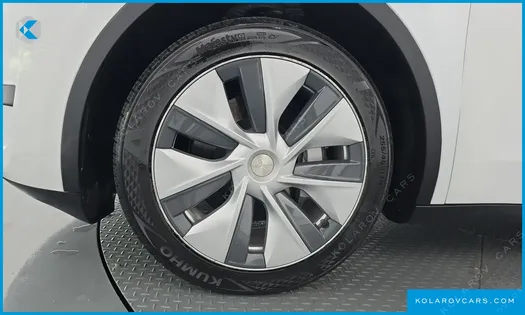 TESLA MODEL Y RWD