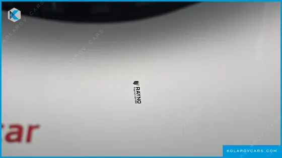 TESLA MODEL Y RWD