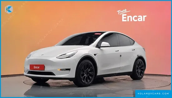 TESLA MODEL Y LONG RANGE AWD