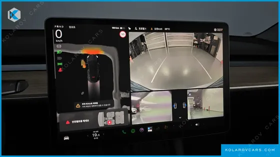 TESLA MODEL Y RWD