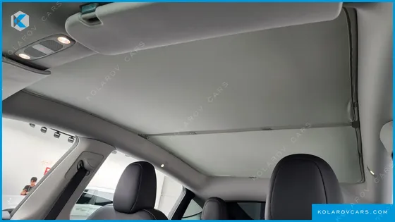 TESLA MODEL Y RWD
