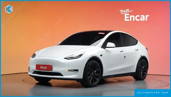 TESLA MODEL Y LONG RANGE AWD