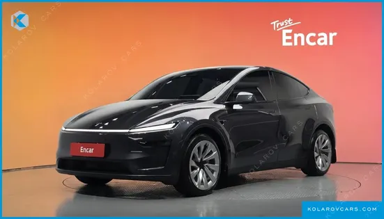 TESLA MODEL Y LONG RANGE AWD