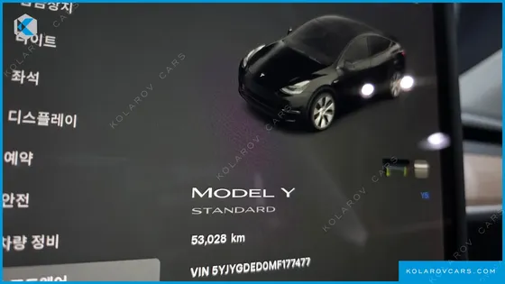 TESLA MODEL Y STANDARD RANGE RWD
