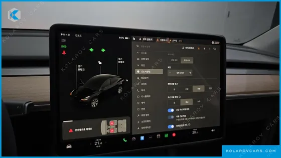 TESLA MODEL Y STANDARD RANGE RWD